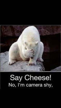 Player Avatar Placeholder